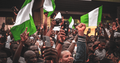 nigeria flag people protest demonstration