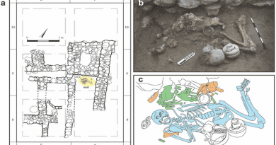Bioarchaeological context of this study. A: The Area H (H-15) domestic structure, with Tomb 45 highlighted in yellow. B: In-situ photograph of early exposure of burial context. C: Composite drawing featuring all layers. Individual 1 is blue, Individual 2 is green, faunal remains are orange. CREDIT Kalisher et al., 2023, PLOS ONE, CC-BY 4.0 (https://creativecommons.org/licenses/by/4.0/)