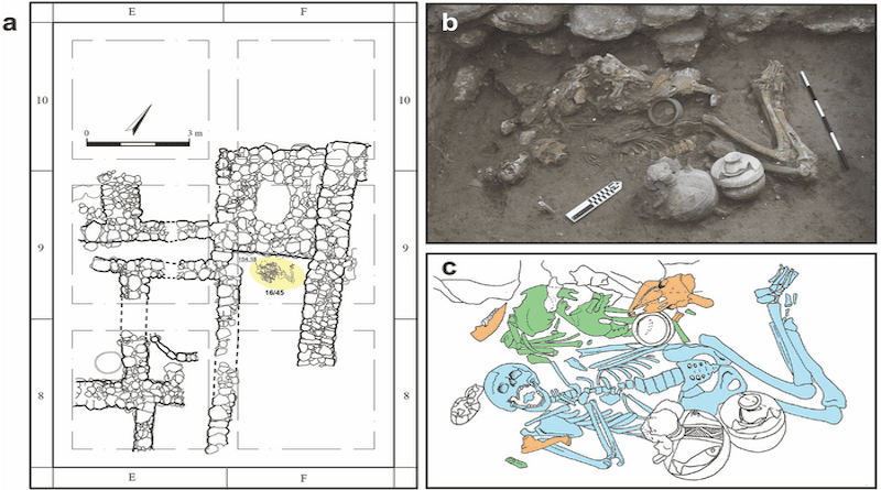 Bioarchaeological context of this study. A: The Area H (H-15) domestic structure, with Tomb 45 highlighted in yellow. B: In-situ photograph of early exposure of burial context. C: Composite drawing featuring all layers. Individual 1 is blue, Individual 2 is green, faunal remains are orange. CREDIT Kalisher et al., 2023, PLOS ONE, CC-BY 4.0 (https://creativecommons.org/licenses/by/4.0/)