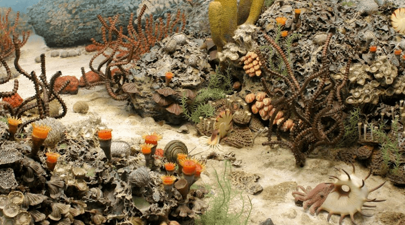 A recreation of the seafloor from the Permian period. (© University of Michigan Museum of Natural History) CREDIT: © University of Michigan Museum of Natural History