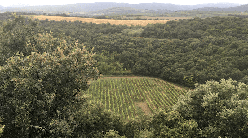 The “Trou du Météore”: The crater at the “Domaine du Météore” winery really was caused by a meteorite impact. Photo: Frank Brenker, Goethe University Frankfurt