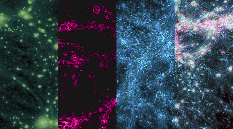 A composite image of 3 different observations of the cosmic web (gas, radio and magnetic) accompanied by a composite image. Credit: F. Vazza, D. Wittor and J. West, Composition by K. Brown