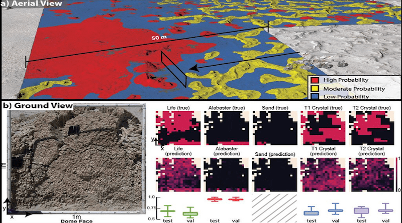 Biosignature probability maps from CNN models and statistical ecology data. The colors in a) indicate the probability of biosignature detection. In b) a visible image of a gypsum dome geologic feature (left) with biosignature probability maps for various microhabitats (e.g., sand versus alabaster) within it. CREDIT: Figure credit: M. Phillips, F. Kalaitzis, K. Warren- Rhodes.