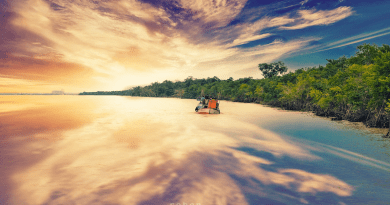 Nature Sky Sundarbans Mangroves Clouds Sunset Water Summer India Bangladesh