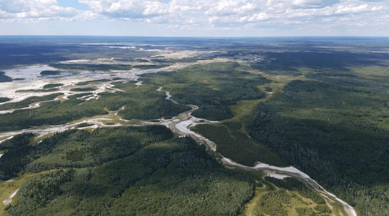 The ability of the world’s protected areas, such as Wood Buffalo National Park in Canada (pictured), to facilitate climate-induced range shifts is the focus of new RMRS research. CREDIT: USDA Forest Service photo by Sean Parks.