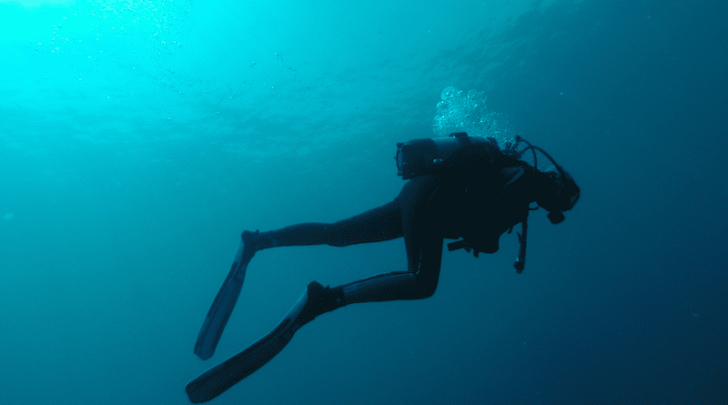 scuba swimmer diving dive