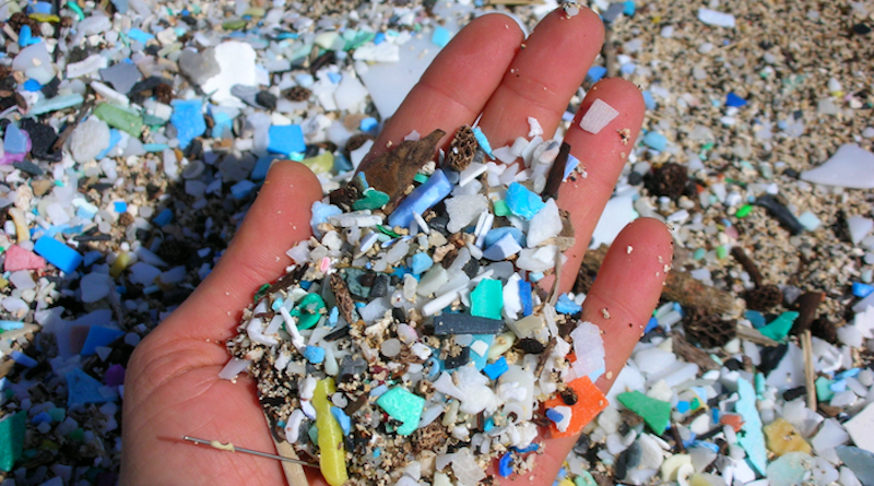 A handful of microplastics washed ashore at Kamilo Beach, Hawaii. CREDIT: The 5 Gyres Institute, CC-BY 4.0 (https://creativecommons.org/licenses/by/4.0/)