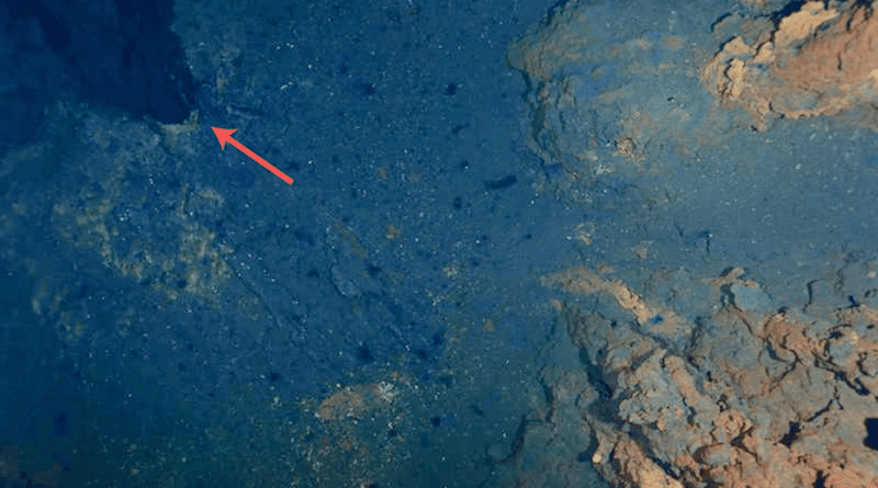 Aurora’s hydrothermal vents at Gakkel Ridge (Central Arctic). A snapshot of a hydrothermal vent (upper left corner, indicated by the red arrow) and chimneys (yellow-orange structures on the right) captured by the underwater camera system OFOS, which made it possible to identify the location of the hydrothermal vents field during expedition PS86. CREDIT: Cruise report