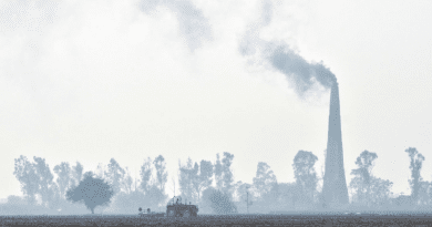 Wheat planting in India. Air pollution can negatively affect crop production. Copyright: Neil Palmer (CIAT). (CC BY-SA 2.0). This image has been cropped.