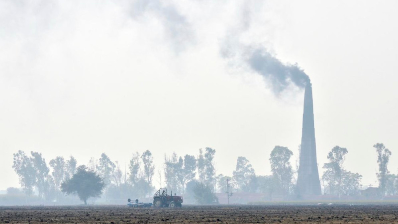 Wheat planting in India. Air pollution can negatively affect crop production. Copyright: Neil Palmer (CIAT). (CC BY-SA 2.0). This image has been cropped.