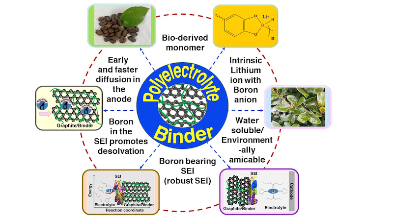 In an effort to improve performance in lithium-ion batteries, a group of researchers from Japan Advanced Institute of Science and Technology synthesized a lithium borate-type aqueous polyelectrolyte binder for graphite anodes. Their new binder helped improve Li-ion diffusion and lower impedance compared to conventional batteries. Image credit: Noriyoshi Matsumi from JAIST.