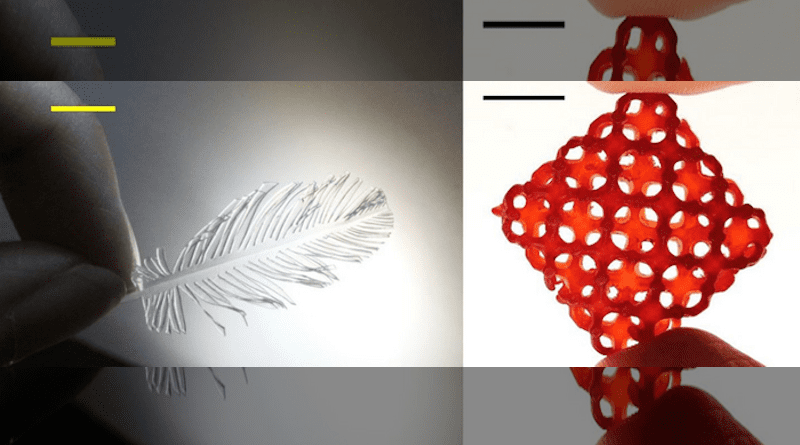 Intricate glass designs (left) can be made with origami and cutting techniques, which can be combined with 3D printing to make more complex shapes, such as a 3D lattice (right). Scale bar 1 cm. CREDIT: Yang Xu