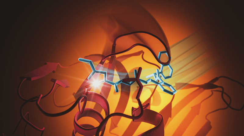 SARS-CoV-2 creates dangerous enzymes, called proteases, which help the virus replicate and also disable an immune system’s messaging system. Here, one of the virus’s primary protease’s, PLpro, grips a new molecule that is meant to slow PLpro. CREDIT: (Greg Stewart/SLAC National Accelerator Laboratory)