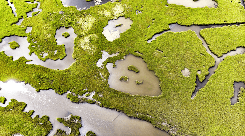 Some salt marshes have kept pace with sea level rise over the past century while others have foundered, according to new research in Earth’s Future. The study is the first to measure and compare wetland growth rates across much of the East Coast. CREDIT: James Loesch/flickr https://www.flickr.com/photos/jal33/49410938342/