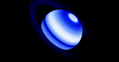 This composite image shows the Saturn Lyman-alpha bulge, an emission from hydrogen which is a persistent and unexpected excess detected by three distinct NASA missions, namely Voyager 1, Cassini, and the Hubble Space Telescope between 1980 and 2017. A Hubble near-ultraviolet image, obtained in 2017 during the Saturn summer in the northern hemisphere, is used as a reference to sketch the Lyman-alpha emission of the planet. The rings appear much darker than the planet's body because they reflect much less ultraviolet sunlight. Above the rings and the dark equatorial region, the Lyman-alpha bulge appears as an extended (30 degree) latitudinal band that is 30 percent brighter than the surrounding regions. A small fraction of the southern hemisphere appears between the rings and the equatorial region, but it is dimmer than the northern hemisphere. North of the bulge region (upper-right portion of image), the disk brightness declines gradually versus latitude toward the bright aurora region that is here shown for reference (not at scale). A dark spot inside the aurora region represents the footprint of the spin axis of the planet. It's believed that icy rings particles raining on the atmosphere at specific latitudes and seasonal effects cause an atmospheric heating that makes the upper atmosphere hydrogen reflect more Lyman-alpha sunlight in the bulge region. This unexpected interaction between the rings and the upper atmosphere is now investigated in depth to define new diagnostic tools for estimating if distant exoplanets have extended Saturn-like ring systems. CREDIT: NASA, ESA, Lotfi Ben-Jaffel (IAP & LPL)
