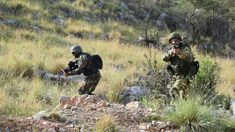 Pakistan Army's special forces soldiers. Photo Credit: Mil.ru, Wikipedia Commons