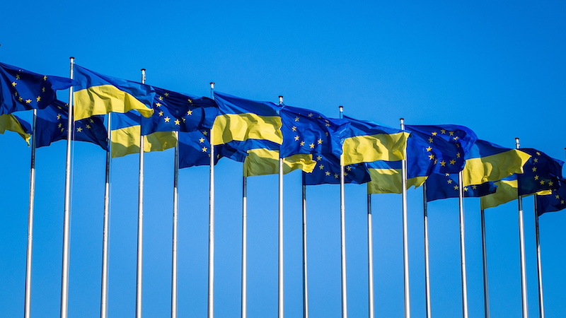 Ukraine Eu European Parliament Flags European Union