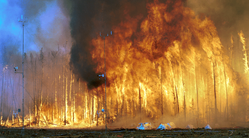 High intensity crown fire is the typical fire regime in boreal forest regions. Photo Credit: USDA Forest Service, Wikipedia Commons