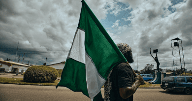 Nigeria Flag Man