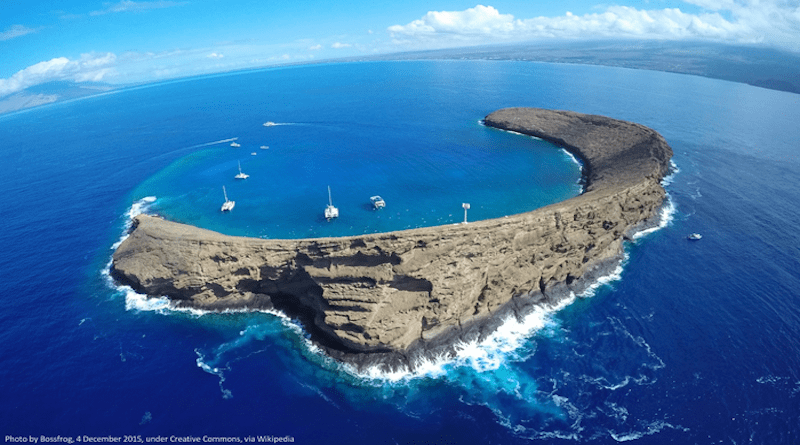Molokini Crater is one of the world’s most popular snorkeling spots and the site of a long-running series of fish surveys. Boss Frog/Wikimedia Commons. CC BY-SA 4.0 CREDIT Boss Frog/Wikimedia Commons. CC BY-SA 4.0