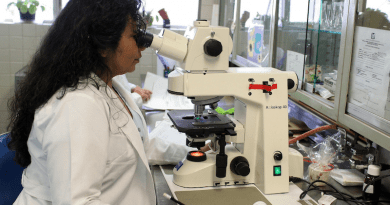 Africa is still stuck in some place where researchers feel strongly that science and innovation can address certain challenges. Copyright: Ernesto Eslava from Pixabay