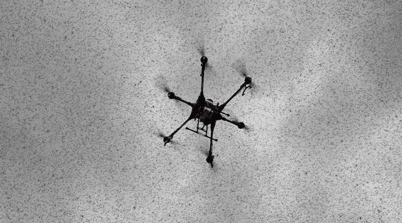 Drone in sky (Credit: CABI).