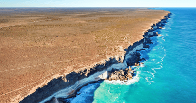 Drone image of the Bunda Cliffs, where the Nullarbor Plain meets the Great Australian Bight. Layering in the cliffs represent different limestone units. CREDIT: Photo courtesy of Dr Matej Lipar.