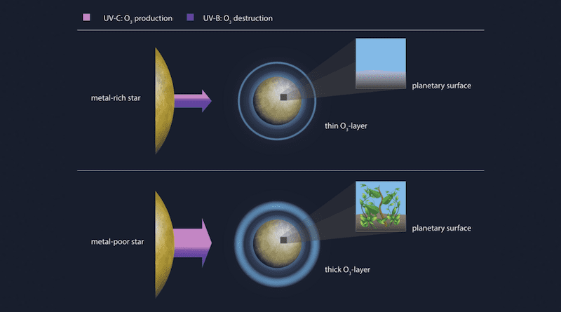 While metal-poor stars emit more UV radiation overall than metal-rich ones, for metal-poor stars the ratio of ozone-generating UV-C radiation to ozone-destroying UV-B radiation allows for the formation of a thicker protective ozone-layer around the orbiting planets. Therefore, the planets belonging to metal-poor stars provide more favourable conditions for the emergence of complex life. CREDIT: MPS/hormesdesign.de