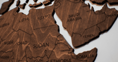 MENA Middle East Africa Algeria Libya Egypt Sudan Chad Ethiopia Somalia Saudi Arabia Yemen Oman