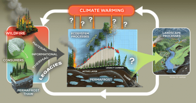 A circuit shows how climate warming may alter different ecological legacies in the Arctic boreal forest, which then feedback into climate warming and changes to landscape processes. CREDIT Victor Leshyk, Center for Ecosystem Science and Society, Northern Arizona University