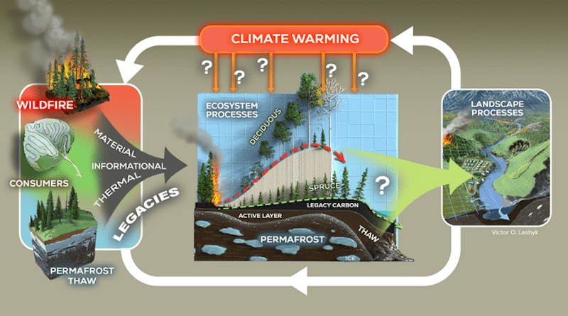 A circuit shows how climate warming may alter different ecological legacies in the Arctic boreal forest, which then feedback into climate warming and changes to landscape processes. CREDIT Victor Leshyk, Center for Ecosystem Science and Society, Northern Arizona University