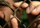 prison jail man fence