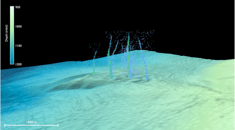 This sonar image of the Pythias Oasis site shows bubbles rising from the seafloor about two-thirds of a mile deep and 50 miles off Newport, Oregon. These bubbles are a byproduct of a unique site where warm, chemically distinct fluid gushes from the seafloor. Researchers believe this fluid comes directly from the Cascadia megathrust zone, or plate boundary, and helps control stress buildup between the two plates. CREDIT: Philip et al./Science Advances