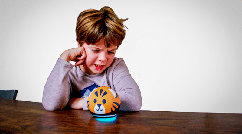 Kids agree that it’s wrong to be attack smart technologies like Roomba or an Alexa, despite ranking Amazon’s virtual assistant as savvier than its vacuuming counterpart. CREDIT: Veronique Koch, Duke University