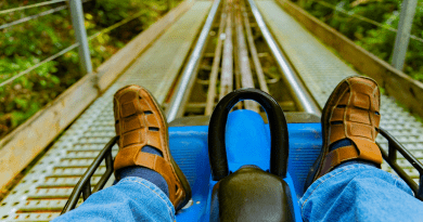 Park Mountain Roller Coaster Roller Coaster