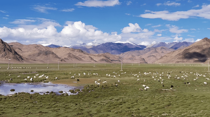 Modern pastures on the highland Tibetan Plateau CREDIT: Li Tang