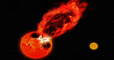 Artist’s impression of the superflare observed on one of the stars in the V1355 Orionis binary star system. The binary companion star is visible in the background on the right. CREDIT: NAOJ