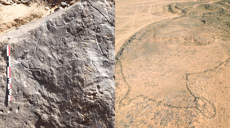 The dimensions of desert dragons only become apparent from the air: at Jebel az-Zilliyat in Saudi Arabia, the true-to-scale engraving depicts nearby desert dragons. CREDIT: Oliver Barge, CNRS