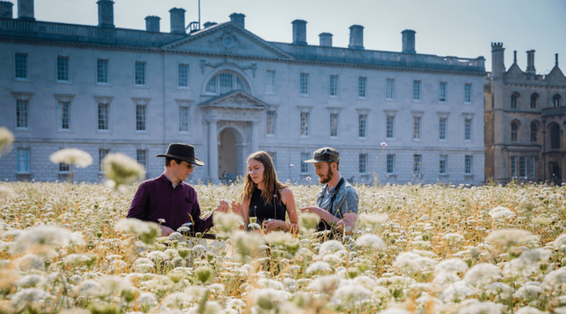 Undergraduate students with academic conduct a survey of the plant and animal species in the meadow at King's College, Cambridge CREDIT: Lloyd Mann
