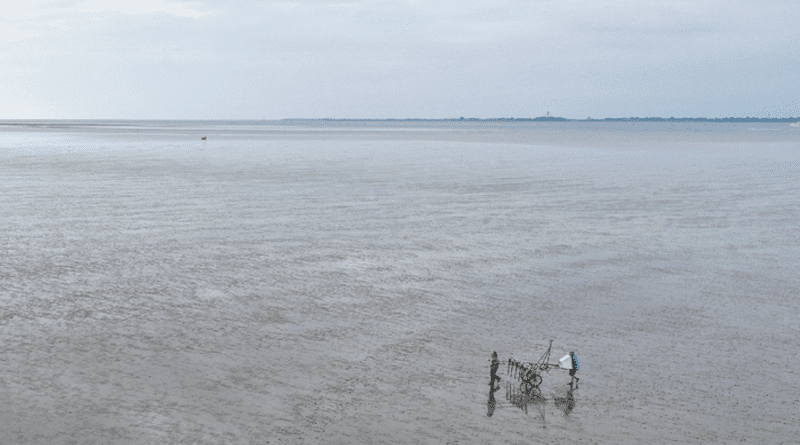 A lightweight survey vehicle provides large-scale magnetic mapping of cultural traces hidden beneath the present-day tidal flat surface. CREDIT: photo/©: Dirk Bienen-Scholt