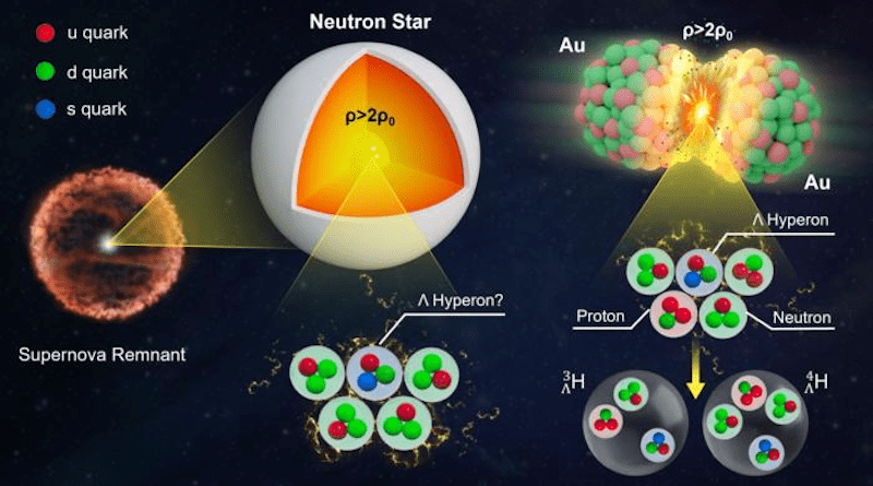 Neutron stars are compact objects formed when massive stars collapse at the end of their lives. Tracking how hypernuclei flow collectively in high-energy heavy ion collisions could help scientists learn about hyperon-nucleon interactions in the nuclear medium and understand the inner structure of neutron stars. CREDIT: STAR Collaboration