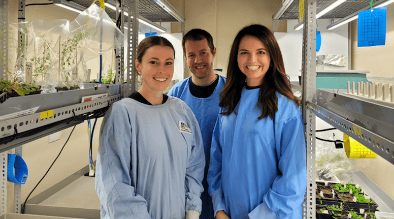 (From left) Emily Mackie, Dr Andrew Barrow and Dr Tatiana Soares da Costa. CREDIT: University of Adelaide