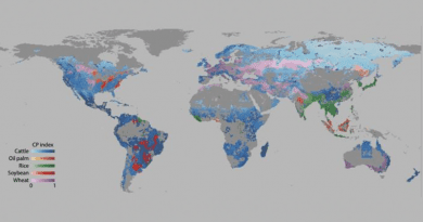 The map shows the land use and conservation priority index for major agricultural commodities. The grid cells are coloured according to the dominant crop grown, and the intensity of the colour, from lighter to darker shades, indicates the conservation priority of each cell. CREDIT: Graphic: Hoang et al. 2023