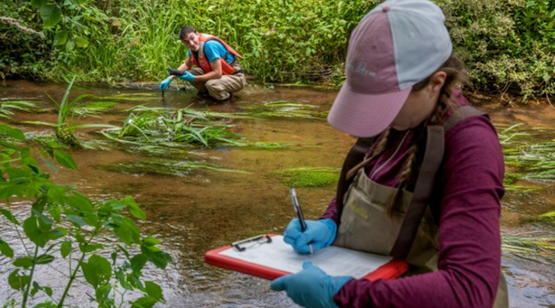 Members of the Sunderland Lab sampling for PFAS contamination on Cape Cod CREDIT: Michael Salerno