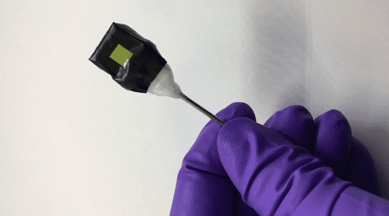 A standalone artificial leaf attached to a metal rod support. The photoanode side (green square) is visible in the photograph. CREDIT: Motiar Rahaman