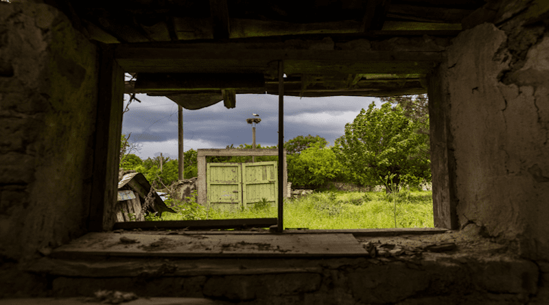 Wildlife seen through ruins CREDIT: Malkolm Boothroyd