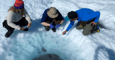 Danish researchers have found more than 4,000 different species of microorganisms in melt holes in the ice like these. CREDIT: Laura Halbach