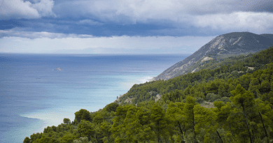 Greece Lefkada Coast Sea Mediterranean Sea Forest
