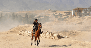 Afghanistan Boy Child Horse Desert