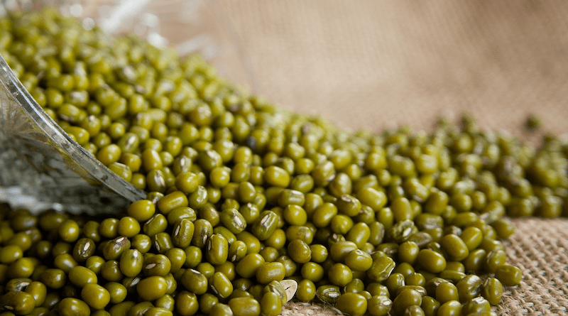 mung beans green gram